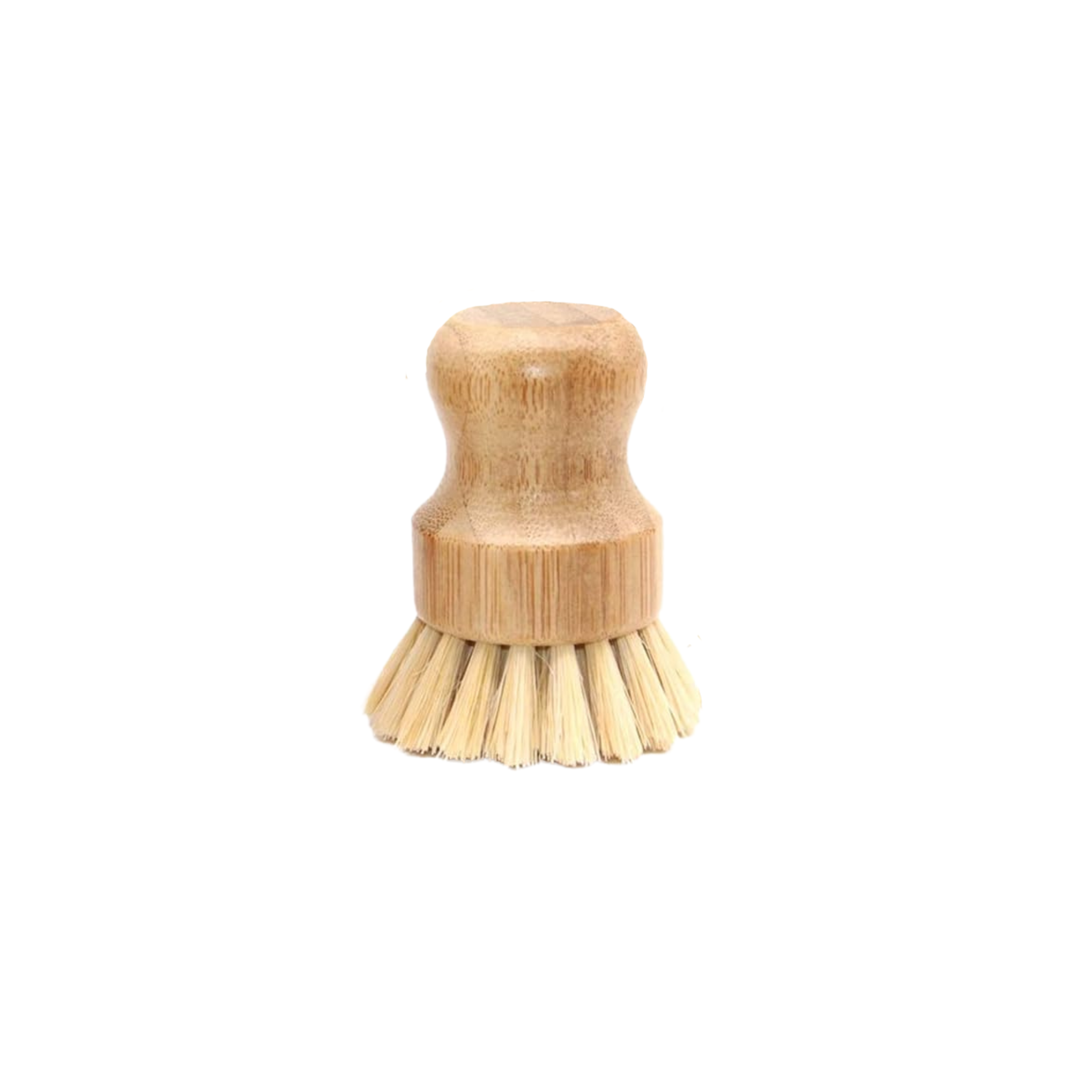 Dish Brush